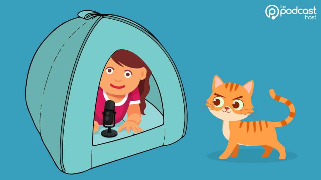 cat bed podcast home studio