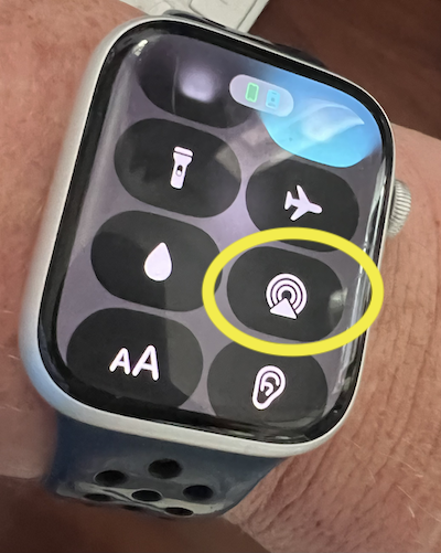 To listen to podcasts on your Apple Watch, first press the side button, and use the crown to scroll to the Audio Output button. 