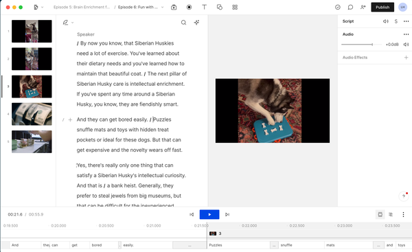 In the video editing interface, Descript displays the scenes (timeline of clips) down the left, the script second from the left, the scene (video clip) that you're actively working on second from the right, and on the far right, the properties of the scene you're working on. The audio waveform is at the bottom of the pane.