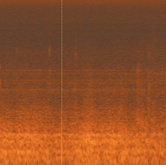 Spectrogram of Room Tone A spectrogram of room tone using iZotope RX Editor to analyze frequency content. Shure MV7 review