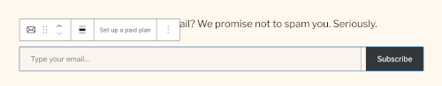 Screenshot of what the subscribe block looks like in WordPress. You can add this in any blog post to aid signups to your email marketing newsletter.