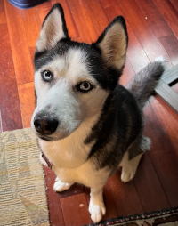 This image is 200 pixels wide, 254 pixels high, and 72 dpi. It's optimized for digital display.